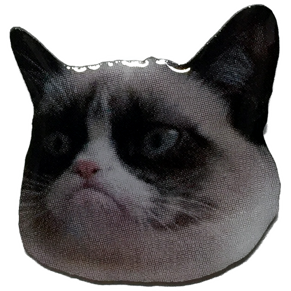 Grumpy Cat Pin